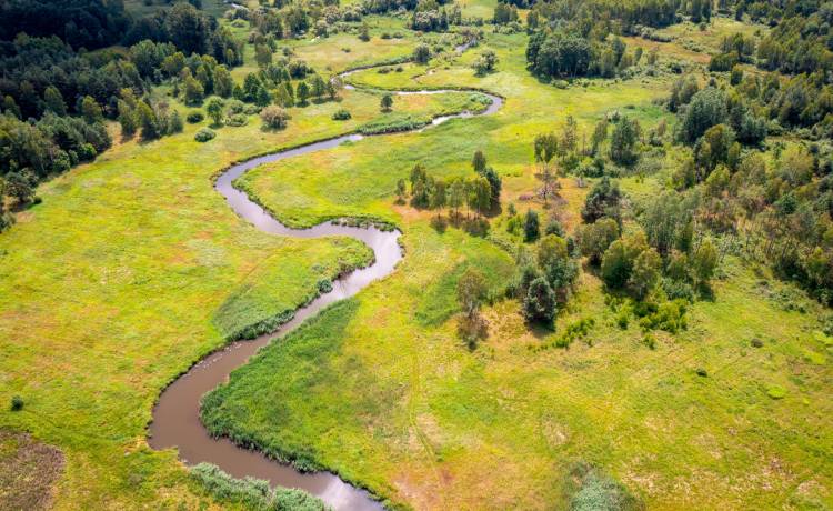 Już za kilka dni wielkie sprzątanie Warty. Dowiedz się, jak dołączyć 