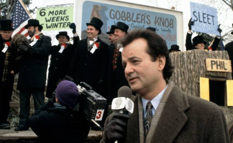 Dzień Świstaka 2021. Czy świstak Phil zobaczy swój cień? Co to oznacza?