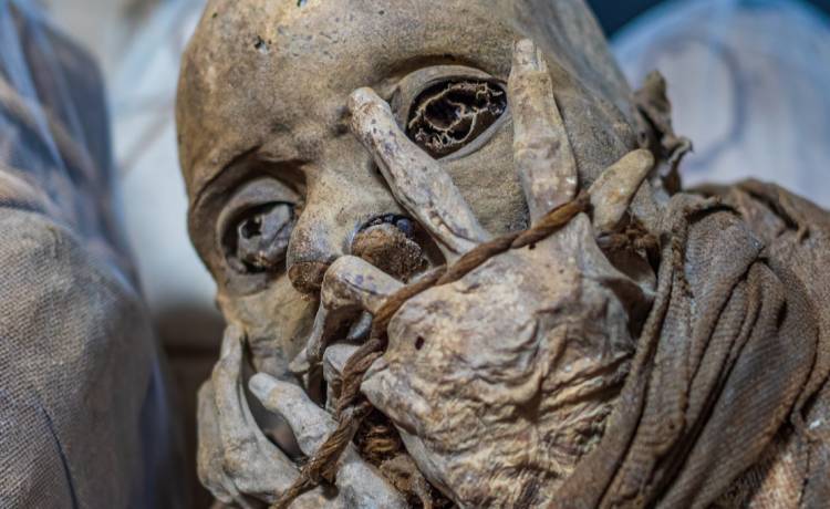 W torbie dostawcy jedzenia policjanci odnaleźli mumię. Okazało się, że mężczyzna żyje z nią od lat