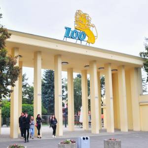 Koń w masce zebry? Wrocławskie zoo publikuje przeurocze zdjęcie swojego podopiecznego [FOTO]