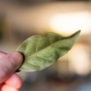 Umieść liście laurowe przy drzwiach. Uciążliwy problem zniknie na zawsze!              