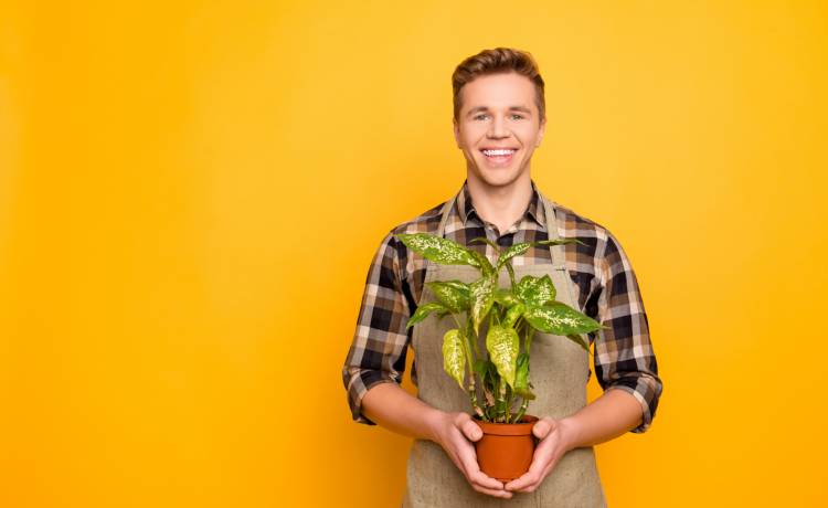 fot. shutterstock.com 