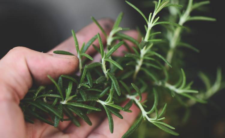 fot. shutterstock.com