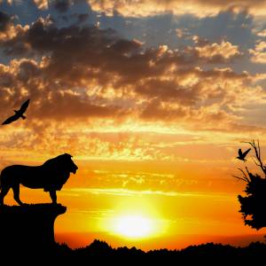 Kolejna odsłona Króla Lwa nadchodzi! Kiedy premiera?