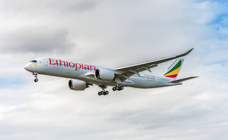 Piloci zasnęli i przegapili lądowanie?! Samolot utracił łączność i przeleciał nad pasem startowym