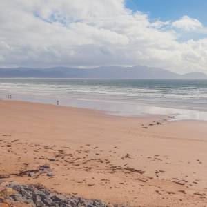Na plaży znaleziono ogromne zwierzę. Musicie to zobaczyć! [WIDEO]
