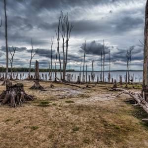 "Cywilizacji zostało 31 lat!" - tak twierdzą naukowcy