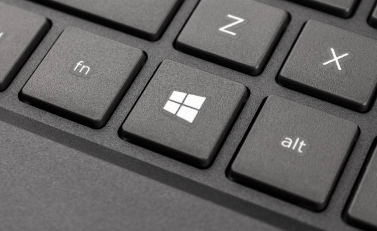 zdjęcie ilustracyjne, fot. Shutterstock/daniiD