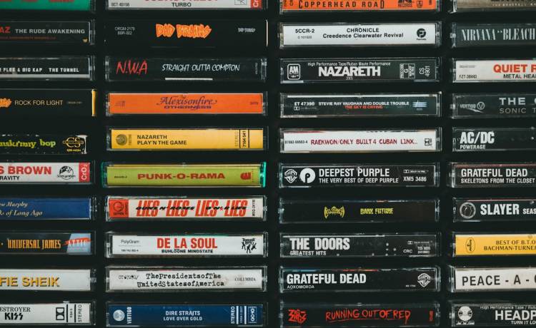 fot. materiały prasowe