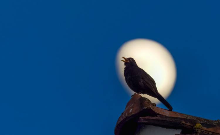 fot. shutterstock.com