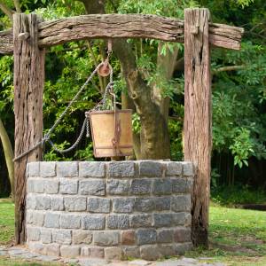 Mały koziołek wpadł do głębokiej studni. Na pomoc przyszli strażacy [FOTO]