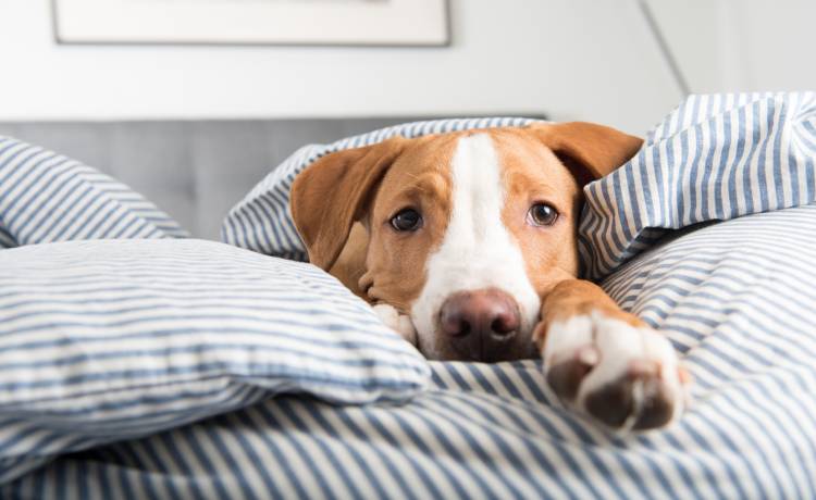 fot. shutterstock.com 