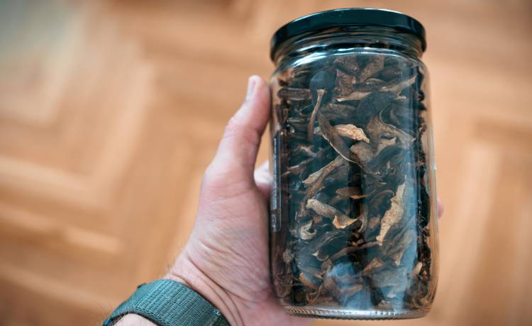 fot. shutterstock.com