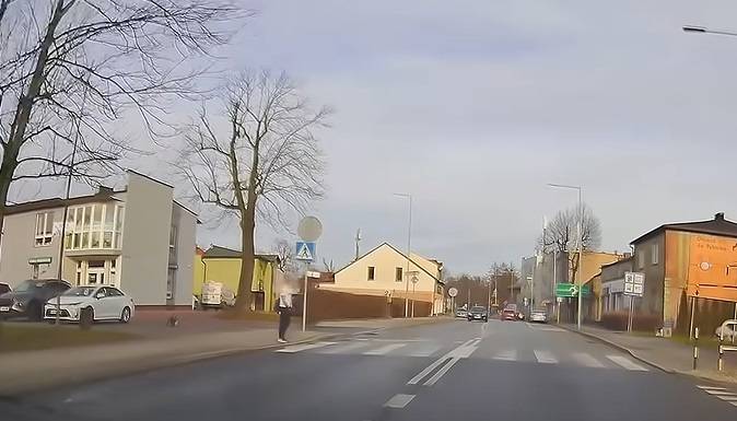 Akrobacje na pasach? Pieszy przeszedł je... na rękach! [WIDEO]