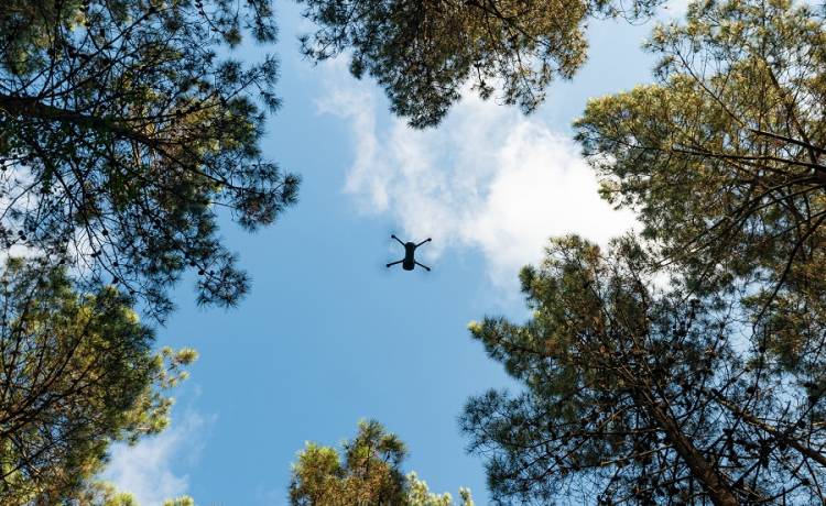 Strażnicy chcą nagrodzić obywatela, który chciał przemycić kilkadziesiąt tysięcy papierosów dronem. Ich zaproszenie robi furorę w sieci! [FOTO]