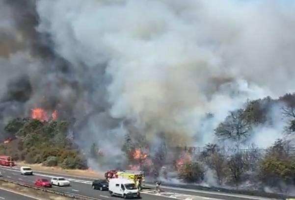 Rekordowe upały w Hiszpanii. Kraj ma poważne problemy [WIDEO]