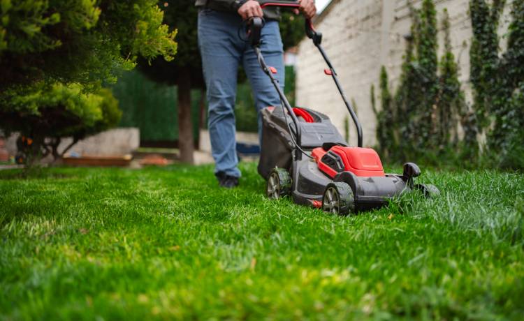  Kiedy najlepiej skosić trawnik na wiosnę? Ekspert radzi, jak nie popełnić błędu!, fot. Shutterstock