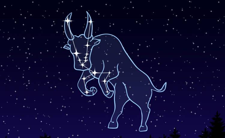 Wytrwałość, lojalność, lenistwo... sezon zodiakalnego Byka trwa! Co charakteryzuje ten znak?