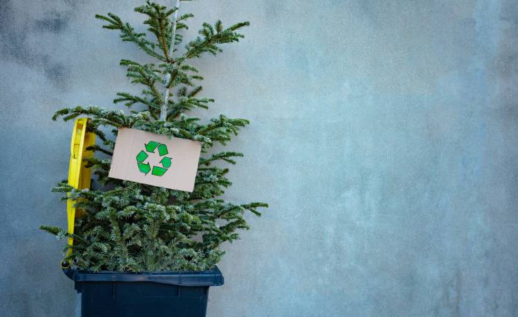 fot. shutterstock.com 