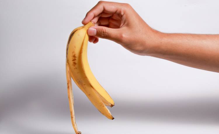 fot. shutterstock.com 