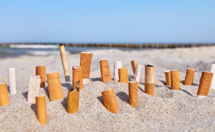 Nawet 500 euro kary za palenie na plaży! Patrole w mundurze i w cywilu