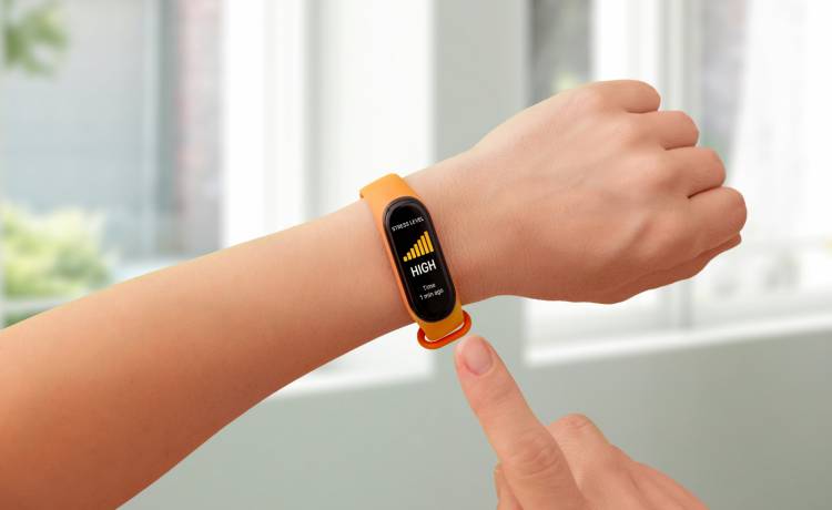 fot. shutterstock.com