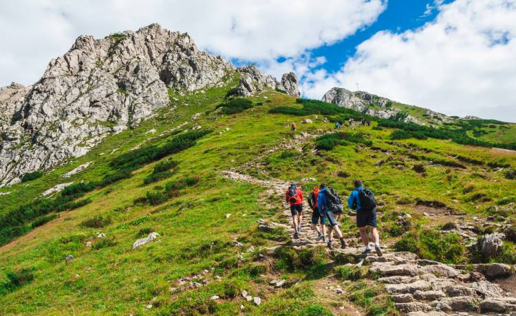  "Leżał na jednym ze szlaków zamroczony alkoholem"... Pijany turysta w Tatrach kontra policja