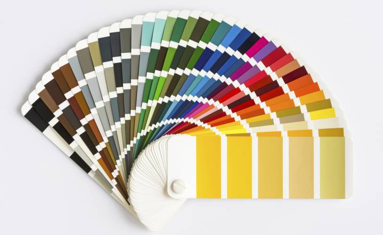 Ten kolor uznawany jest za najbrzydszy na świecie. Budzi skojarzenia ze śmiercią [FOTO]