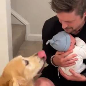 Miał w domu dwa psy. Zaskakujące, jak jeden z nich zareagował na noworodka! [WIDEO]