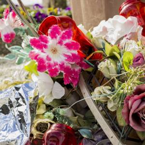 Jakie kwiaty na cmentarz? Podpowiadamy!