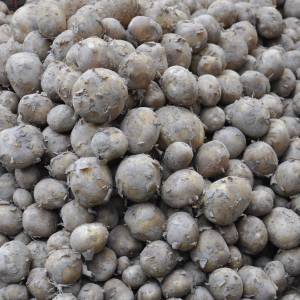 Ukradli 150 ton ziemniaków. Wszystko przez plotkę