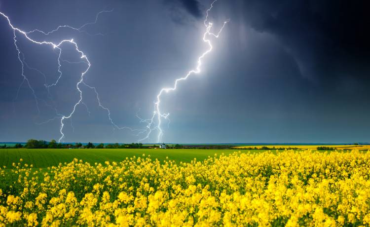 Czeka nas dynamiczna pogoda. Synoptycy prognozują śnieg, wiatr i burze