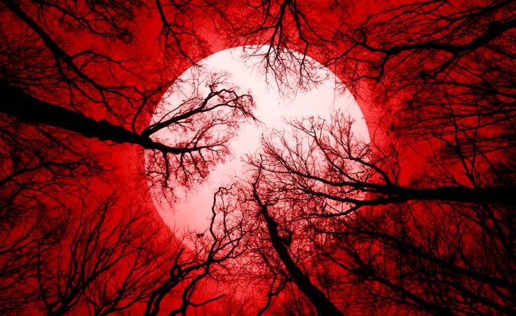 Księżyc Śmierci już wkrótce. Marcowa pełnia ma też inne nazwy