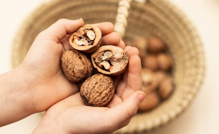 fot. shutterstock.com