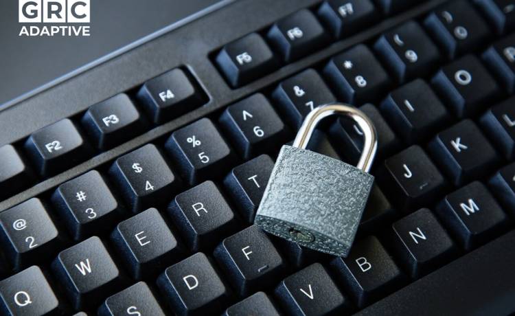 fot. materiały prasowe