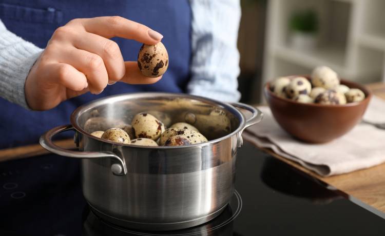 Jajka przepiórcze, fot. Shutterstock