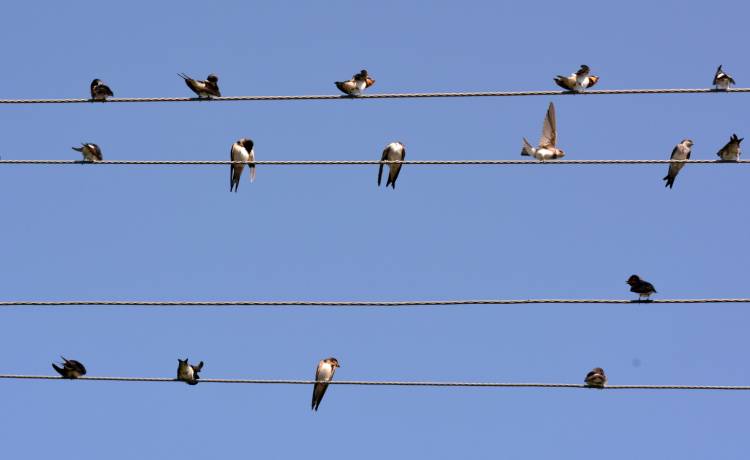 fot. shutterstock.com