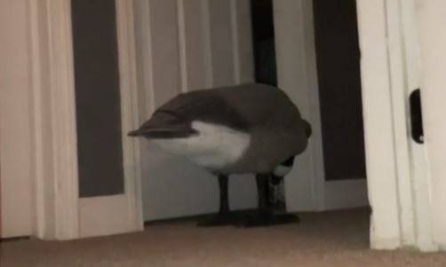 Synek co noc przychodził do jej sypialni. Zobacz, co zrobiła za to dziecku! [WIDEO]