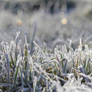 Ostrzeżenia IMGW! Jaka pogoda w najbliższych dniach? [PROGNOZA]