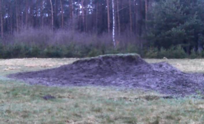 Szalony lis rozbawił setki internautów! "To ja, gdy żona dzwoni, że właśnie wraca z pracy" [WIDEO]