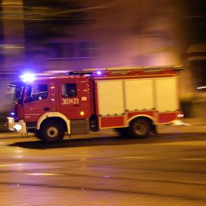 Ogromny pająk chodził po ścianie budynku. Musiała interweniować straż pożarna [FOTO]