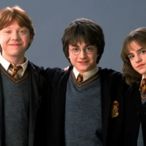 Rekordowa aukcja w świecie Harry'ego Pottera – nie uwierzysz, ile zapłacono za rekwizyt!