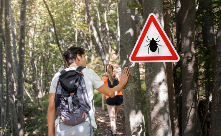 Kleszcze w natarciu! Jak skutecznie chronić się przed boreliozą?, fot. Shutterstock