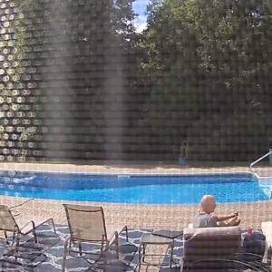 Niedźwiedź budzi mężczyznę z drzemki. Nagranie znad basenu robi furorę w sieci [WIDEO]