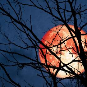 Rzadkie zjawisko na niebie. „Krwawy Księżyc” już wkrótce