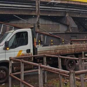 Sum-gigant zatkał kanalizację. Miał ponad dwa metry, ważył ponad 100 kilogramów [WIDEO]