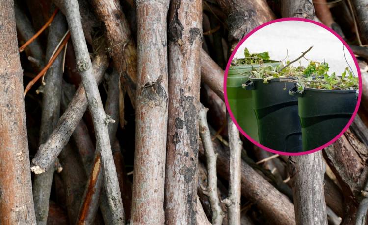 fot. shutterstock.com