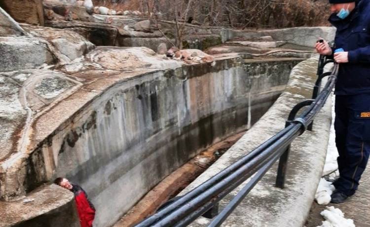 Dramat w Warszawie. Przechodzień wpadł do wybiegu dla niedźwiedzi