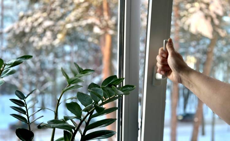 fot. shutterstock.com 