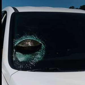 Przelatujący żółw spowodował wypadek. Wbił się w szybę samochodu…[WIDEO]